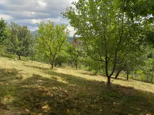 Vând teren intravilan  - imagine 2