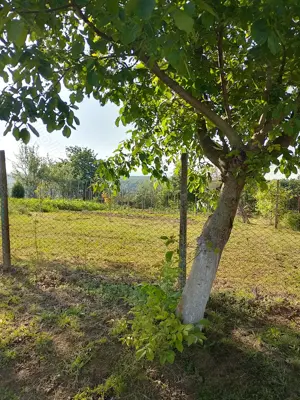 Vând teren intravilan  - imagine 15