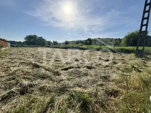 Teren de vanzare 1030mp intravilan Sura Mare zona deosebita  - imagine 2