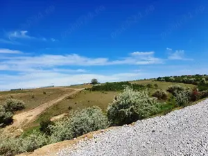 Teren pentru gospodaria ta 873mp in Sat Costi spre Lacul Vanatori - imagine 3