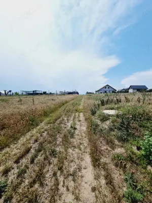 Teren pentru gospodaria ta 873mp in Sat Costi spre Lacul Vanatori - imagine 8