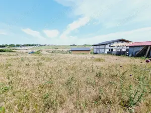 Teren pentru gospodaria ta 873mp in Sat Costi spre Lacul Vanatori - imagine 9