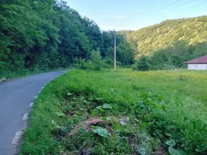 vand casa cu teren Boz - imagine 5