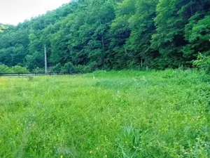 vand casa cu teren Boz - imagine 3