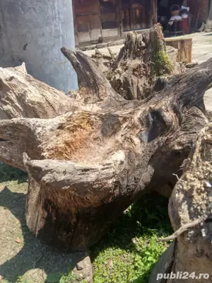 vand cioate de stejar - imagine 2