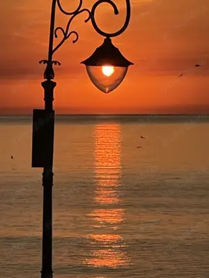 companie discreta cu beneficii