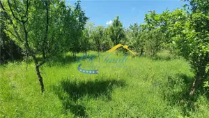 Teren intravilan de vanzare, Banesti Prahova - imagine 2
