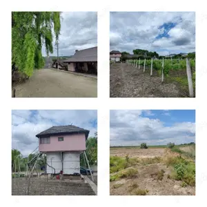 Vand ferma in Macin judetul Tulcea