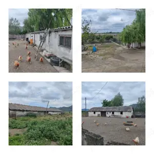Vand ferma in Macin judetul Tulcea - imagine 2