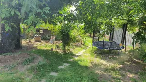 Casa de vanzare la rosu Visan - imagine 4