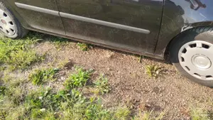 Vand Gof 5, 2  km - imagine 10