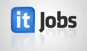 Remote > Full Stack Developer, Web Developer, Programator