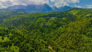 Teren extravlan 14,400mp Paraul Rece / Strada 3 brazi