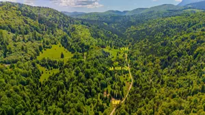 Teren extravlan 14,400mp Paraul Rece / Strada 3 brazi - imagine 4