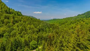 Teren extravlan 14,400mp Paraul Rece / Strada 3 brazi - imagine 10