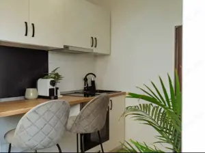 Dublă Oportunitate de Investiție Premium în Inima Capitalei, randament 12% - imagine 11