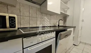 Apartament 2 camere Cal.Romanilor.Din 01.08 - imagine 9