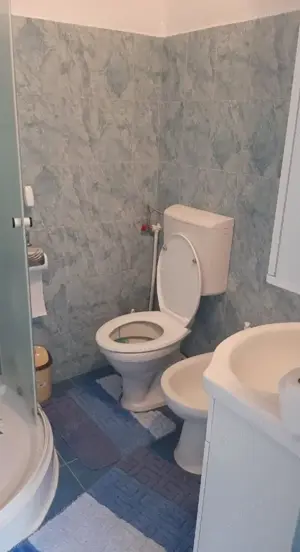 Casa de vanzare sat Cosereni  - imagine 6