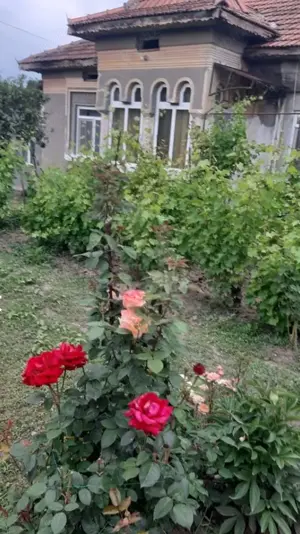 Casa de vanzare sat Cosereni