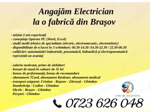 Angajăm Electrician în fabrică