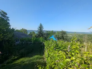 Casă renovată + 1,29 ha teren în Cotnari   vedere superbă!