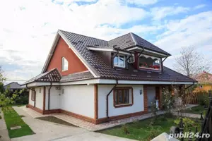 constructii reparatii vopsit tabla - imagine 5