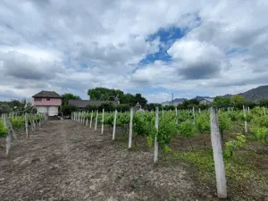 Vand ferma in Macin judetul Tulcea - imagine 5