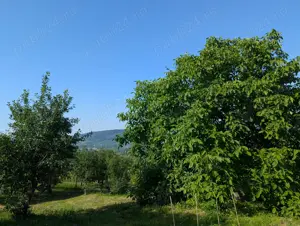 Casă renovată + 1,29 ha teren în Cotnari   vedere superbă! - imagine 8