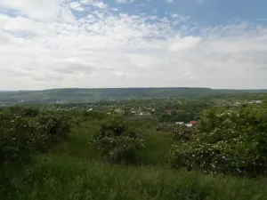 Casă renovată + 1,29 ha teren în Cotnari   vedere superbă! - imagine 10