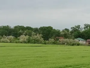 Casa de vânzare Ciofliceni  - imagine 4