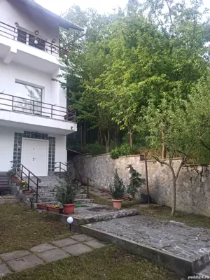 Cazare ieftina in Predeal - imagine 5 Cazare ieftina in Predeal - imagine 5