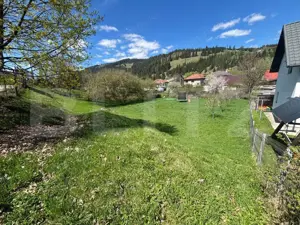 Casă de vânzare în Vatra Dornei, teren 2000 mp - imagine 10