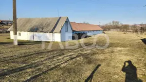 Microferma cu locuinta de vanzare in Pianu de sus - imagine 12