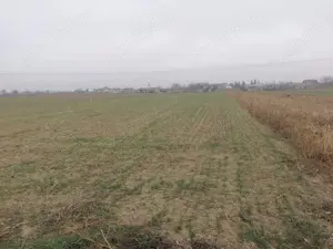 Teren de vânzare E85 Tețcani Neamț - imagine 4