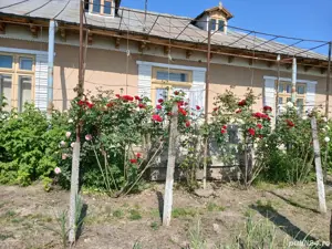 Casa vanzare Husi - imagine 4