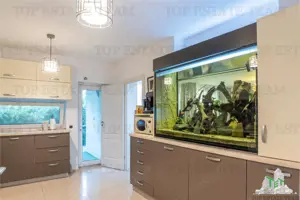 Vila 5 camere, Pasarea, Branesti cu piscina - imagine 6