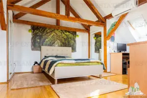 Vila Vatra Luminoasa, Bucuresti - imagine 11