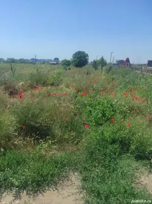 vand teren 1000 mp Navodari - imagine 2