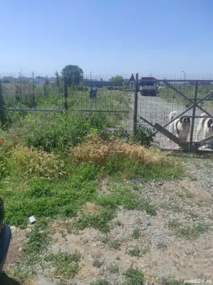 vand teren 1000 mp Navodari - imagine 4