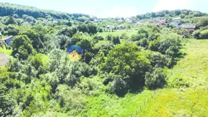 TEREN intravilan + casa  DOBRENI - SARATA - imagine 4