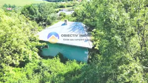 TEREN intravilan + casa  DOBRENI - SARATA