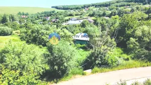 TEREN intravilan + casa  DOBRENI - SARATA - imagine 3