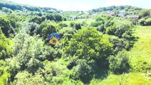 TEREN intravilan + casa  DOBRENI - SARATA - imagine 5