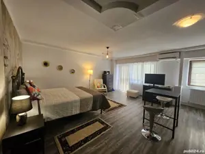 Garsoniera Timpuri Noi - Nerva Traian - Proprietar - imagine 8