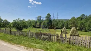 Teren de vanzare in judetul Arges, localitatea Arefu  - imagine 5