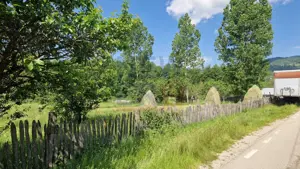 Teren de vanzare in judetul Arges, localitatea Arefu  - imagine 6