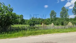 Teren de vanzare in judetul Arges, localitatea Arefu  - imagine 2