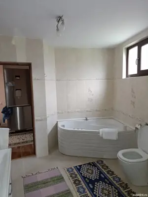 Casa situata in Alexandru cel Bun  - imagine 4
