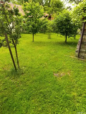 Casa situata in Alexandru cel Bun  - imagine 19