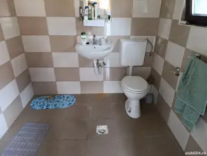 Casa situata in Alexandru cel Bun  - imagine 11